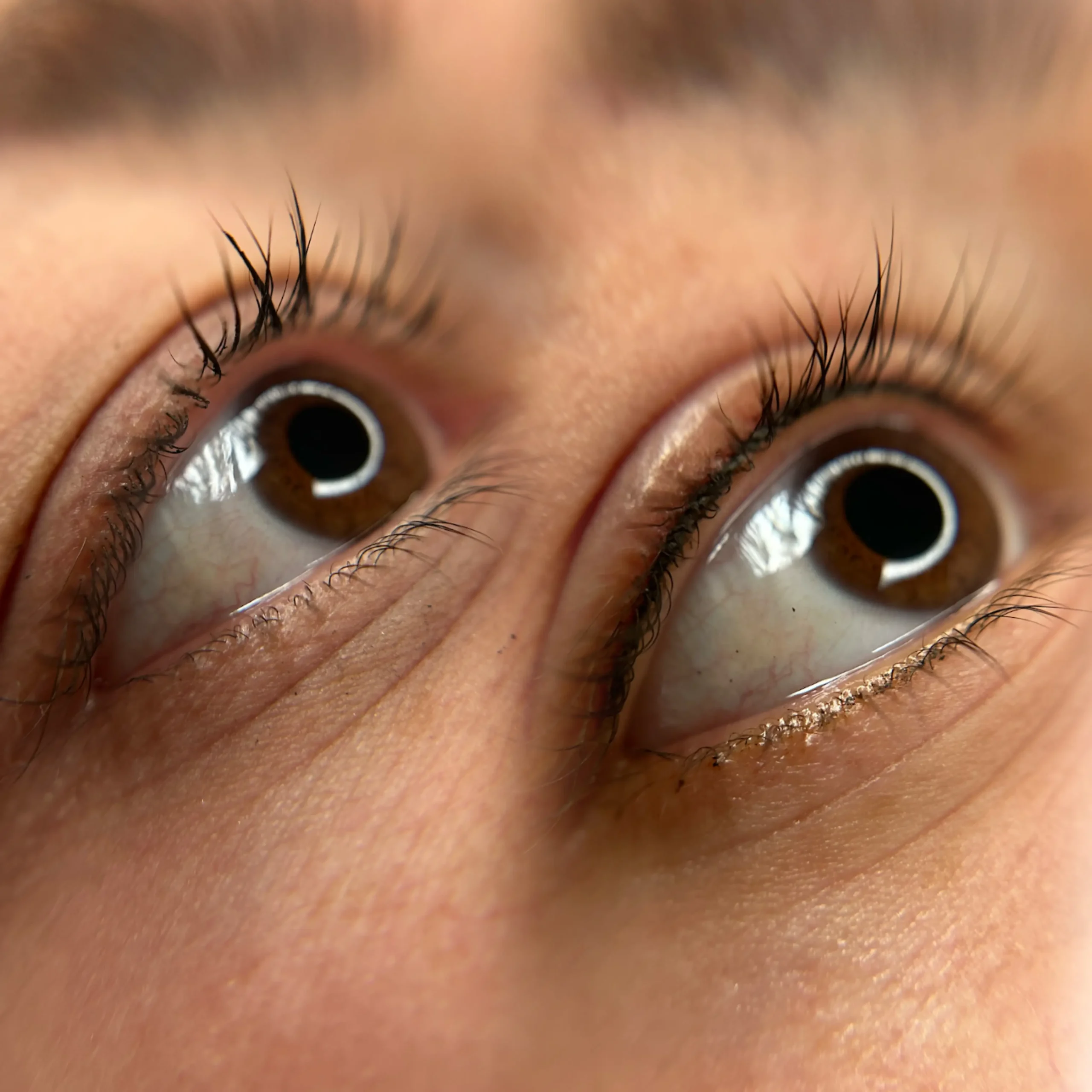 Lash Line Enhancement