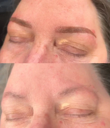 Ombre Powder Brow_Nikki Lee_ The Studio - Permanent Makeup